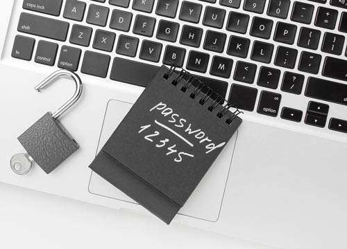 password manager too simple